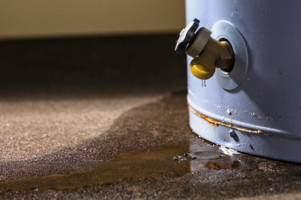 Best Ceiling water damage repair  in Otterbe, IN