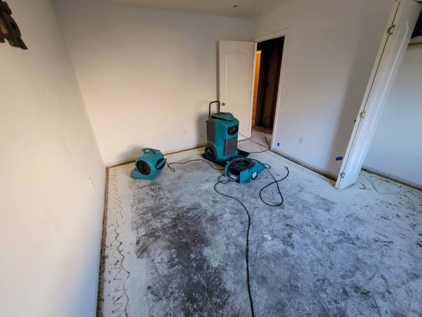 Best Flood damage cleanup  in Otterbe, IN