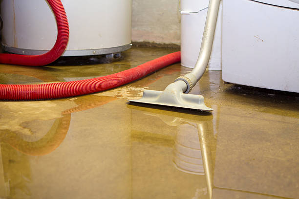 Best Water damage cleanup near me  in Otterbe, IN