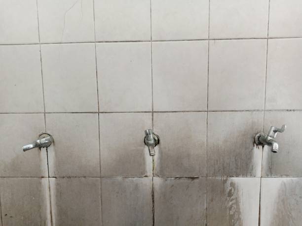 Best Local water damage restoration  in Otterbe, IN