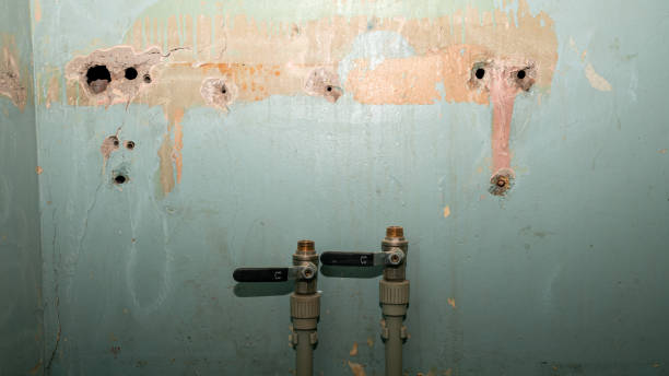 Best Carpet water damage restoration  in Otterbe, IN