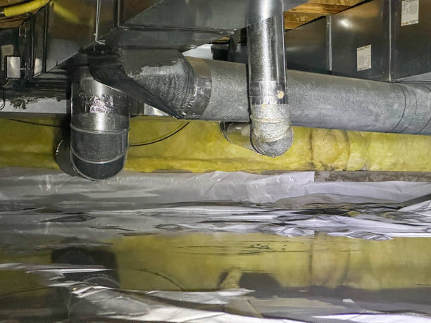 Best Ceiling water damage repair  in Otterbe, IN