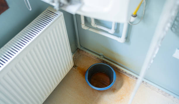 Best 24/7 water damage repair  in Otterbe, IN